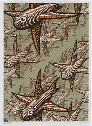 ����� ����