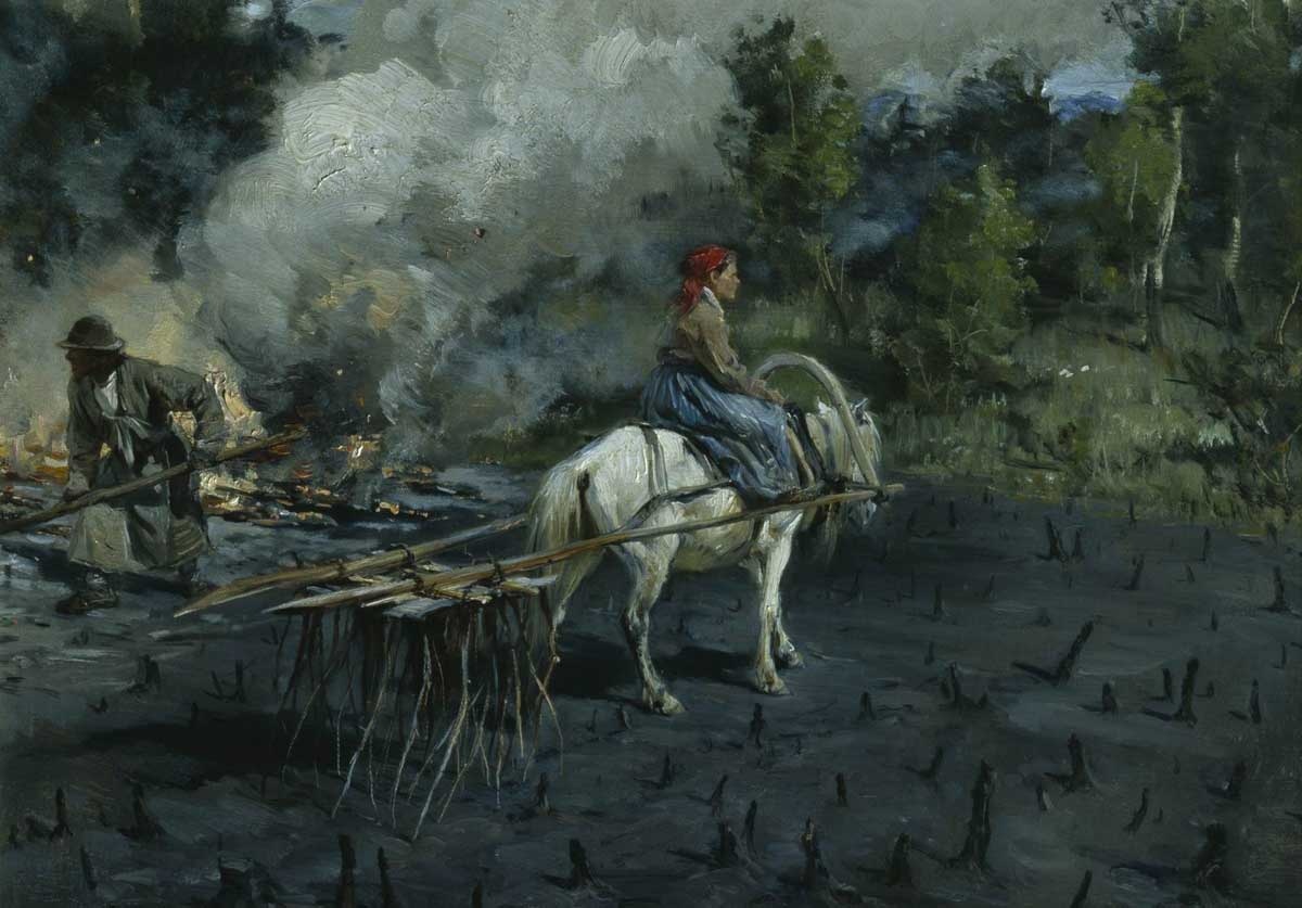 �������� �����������