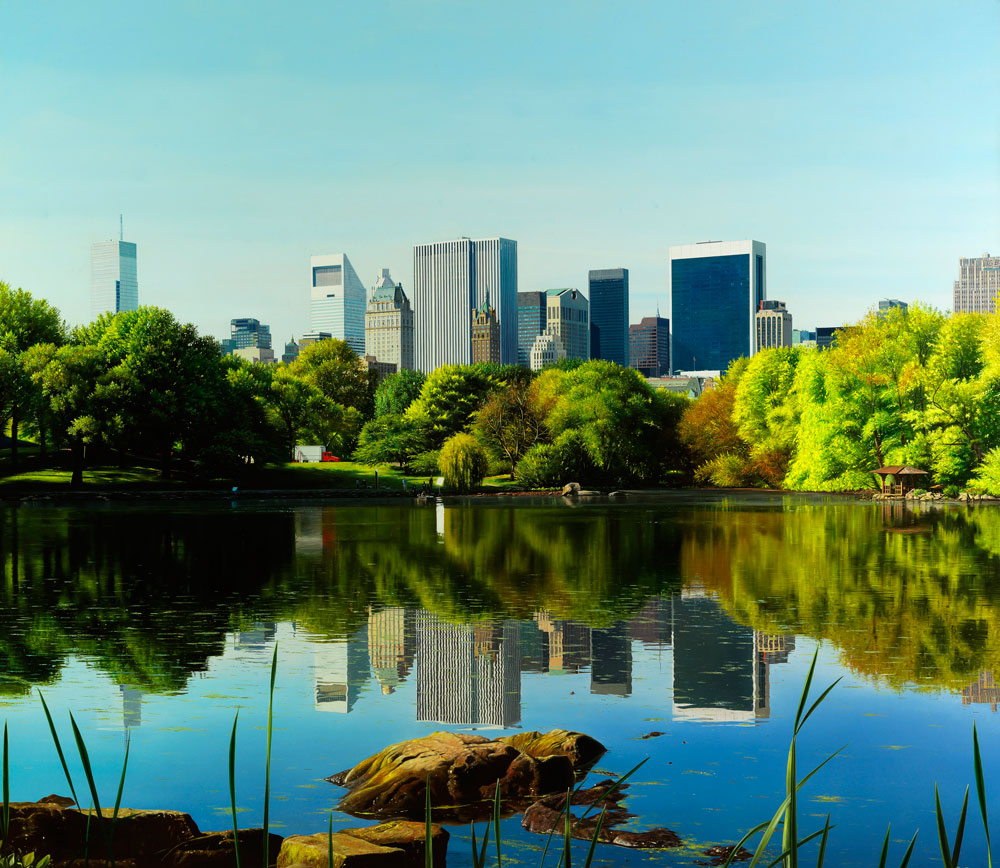 �������� �����