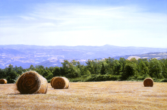 �������� �����