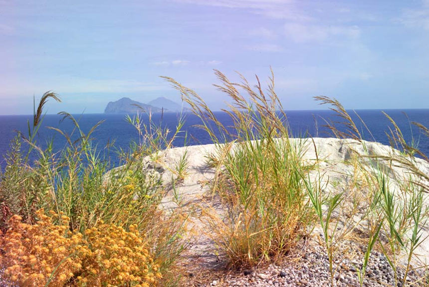 �������� �����