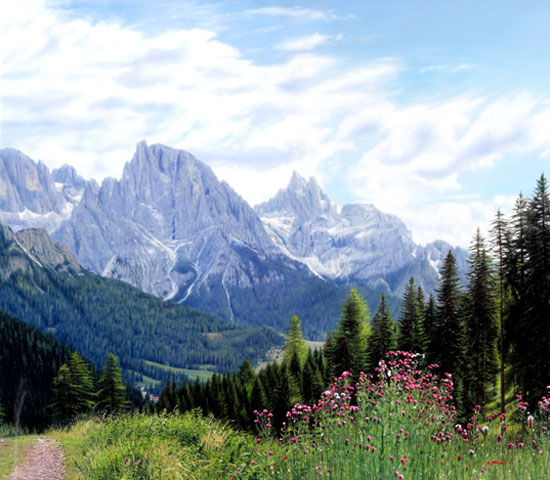 �������� �����