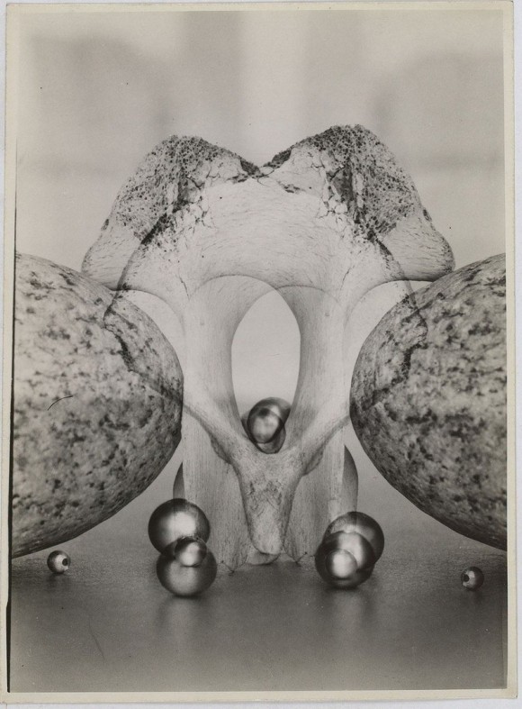 ����� ����