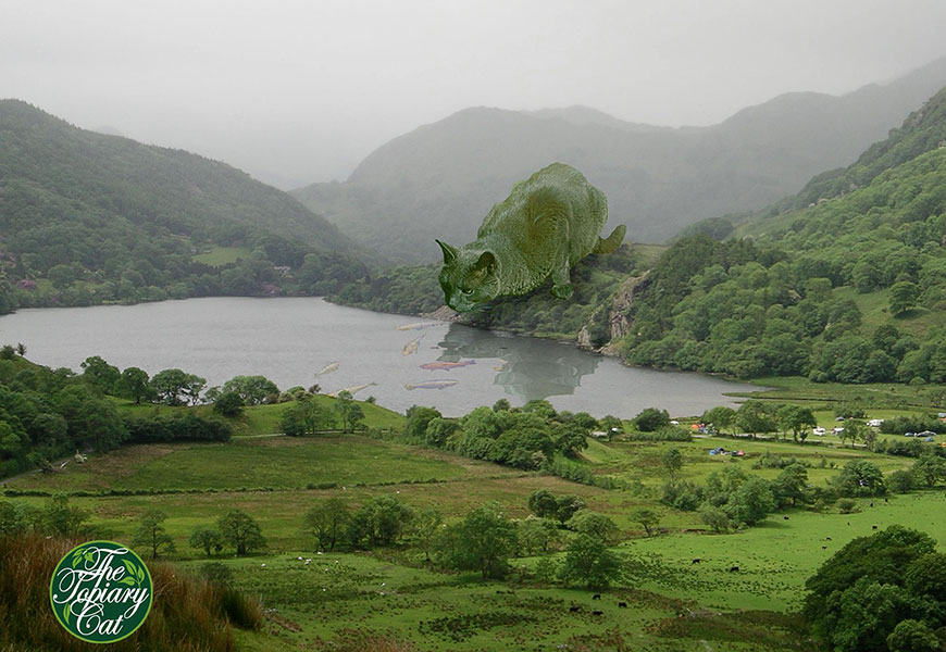 ������ �������