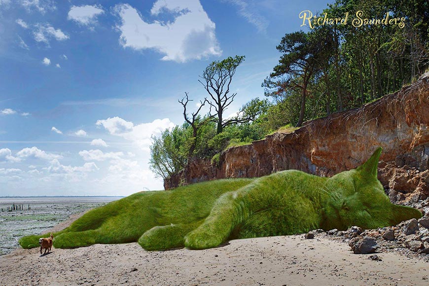 ������ �������