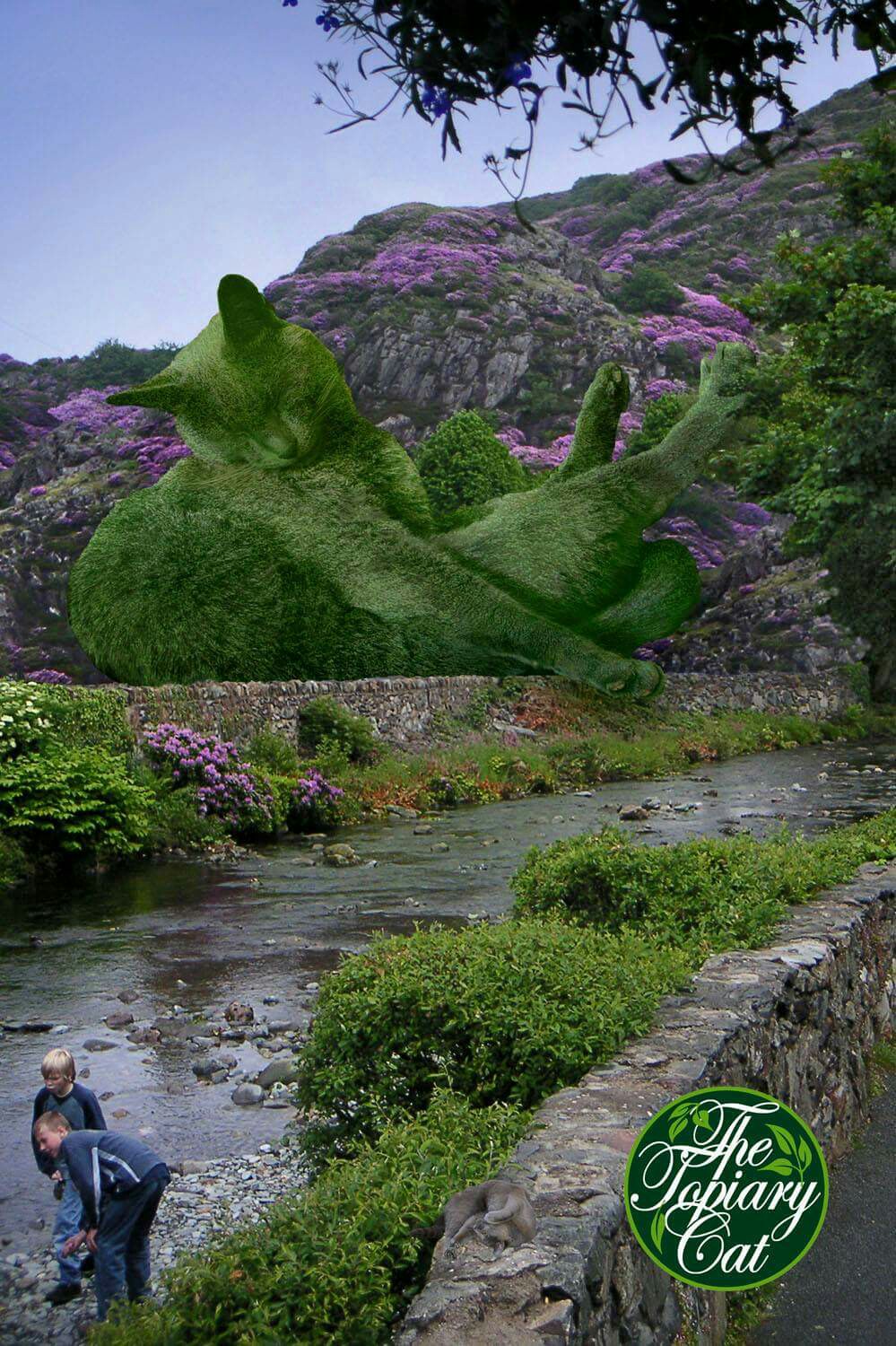 ������ �������