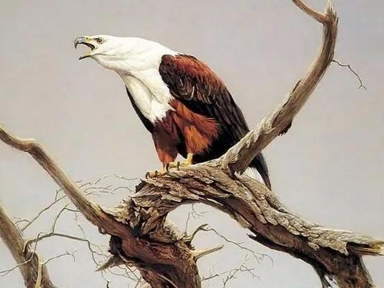 ������ �������. ���� � ����� usenkomaxim.ru