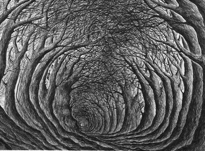 ������ ������