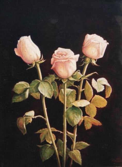 ������ �������