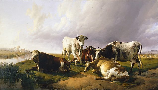 ����� ������ �����