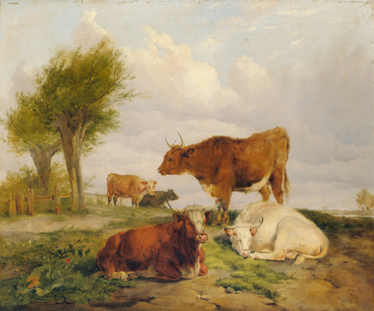 ����� ������ �����