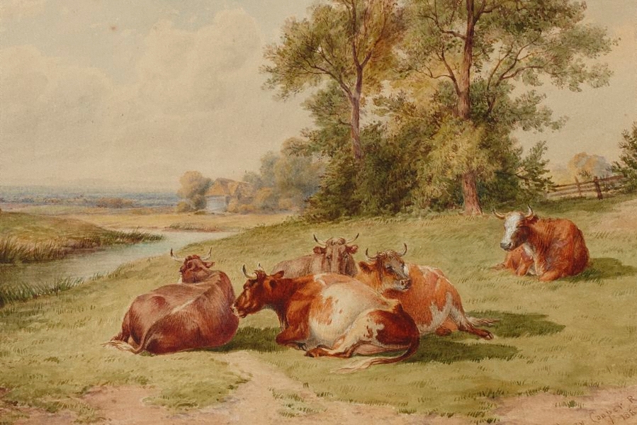 ����� ������ �����