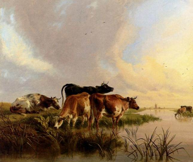 ����� ������ �����