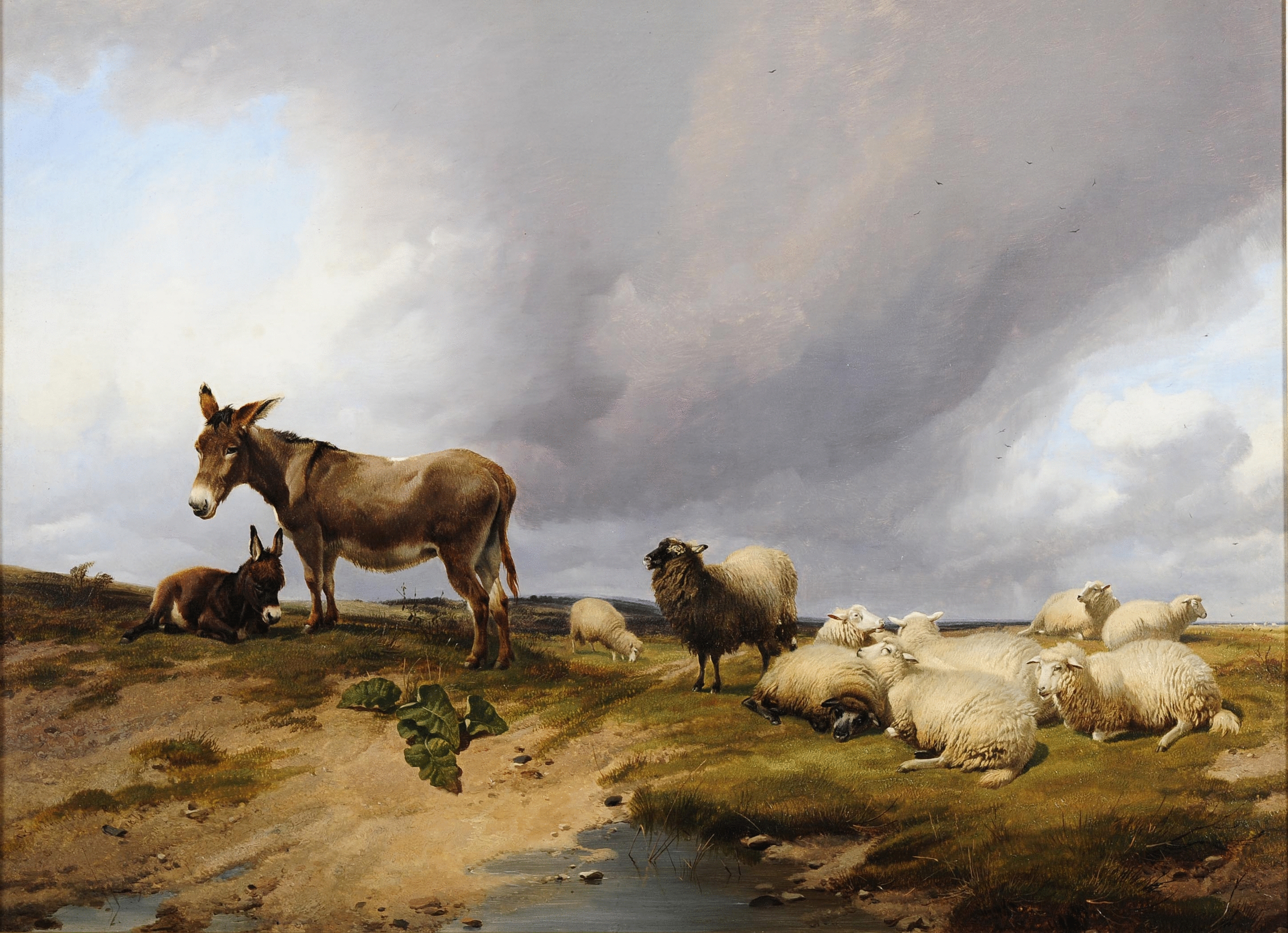 ����� ������ �����