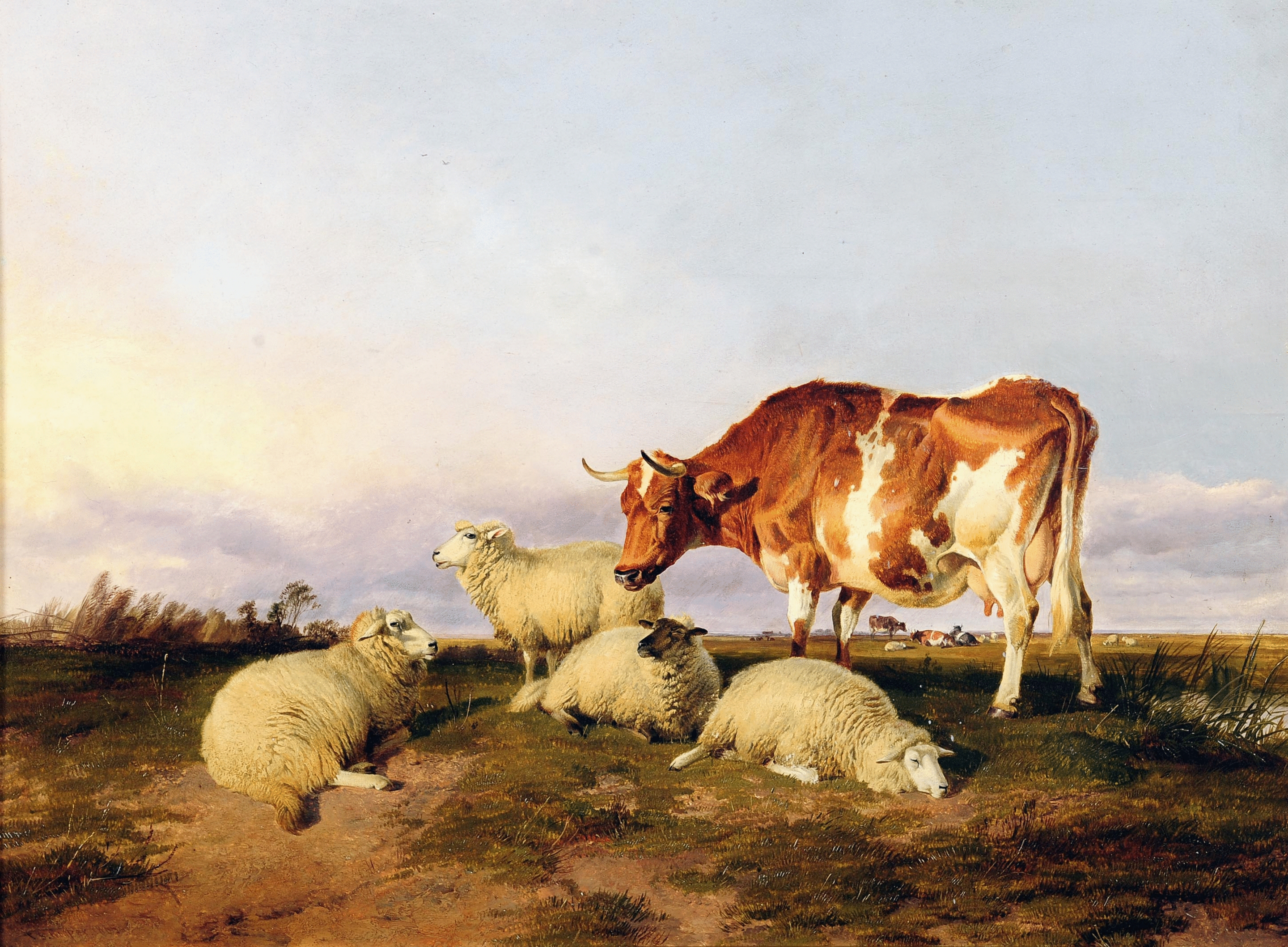 ����� ������ �����