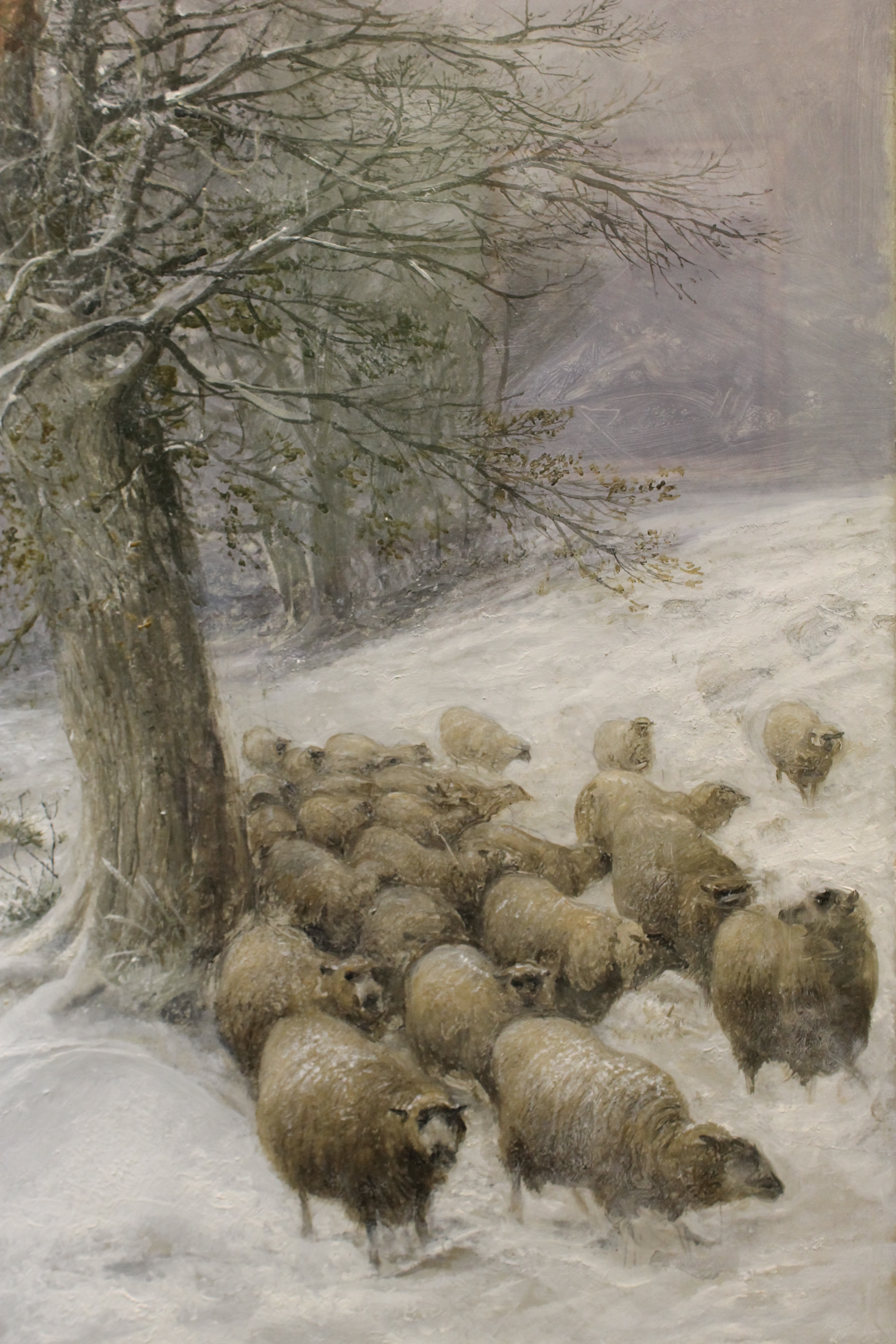 ����� ������ �����