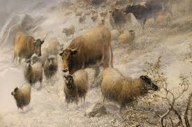 ����� ������ �����