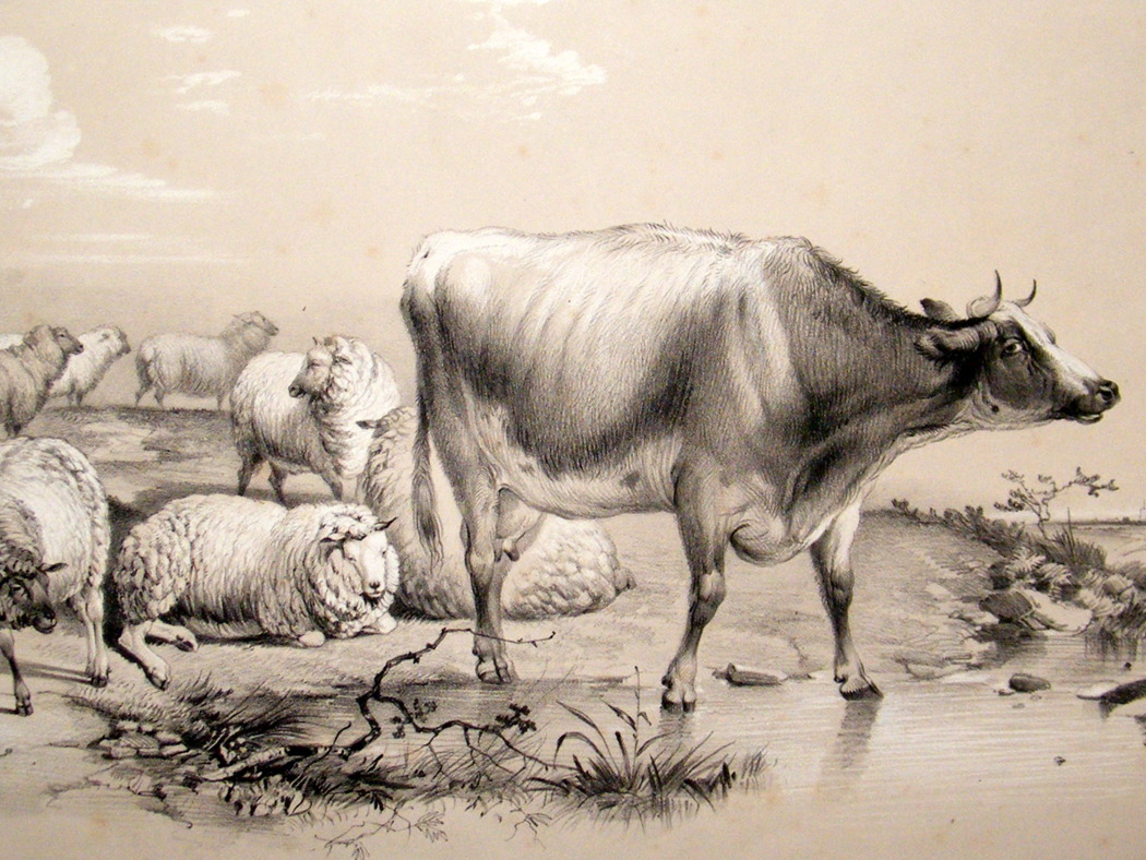 ����� ������ �����