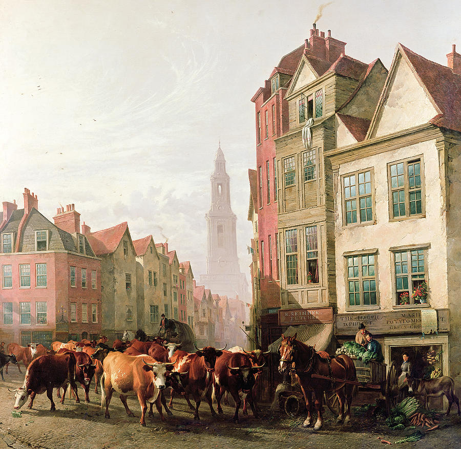 ����� ������ �����