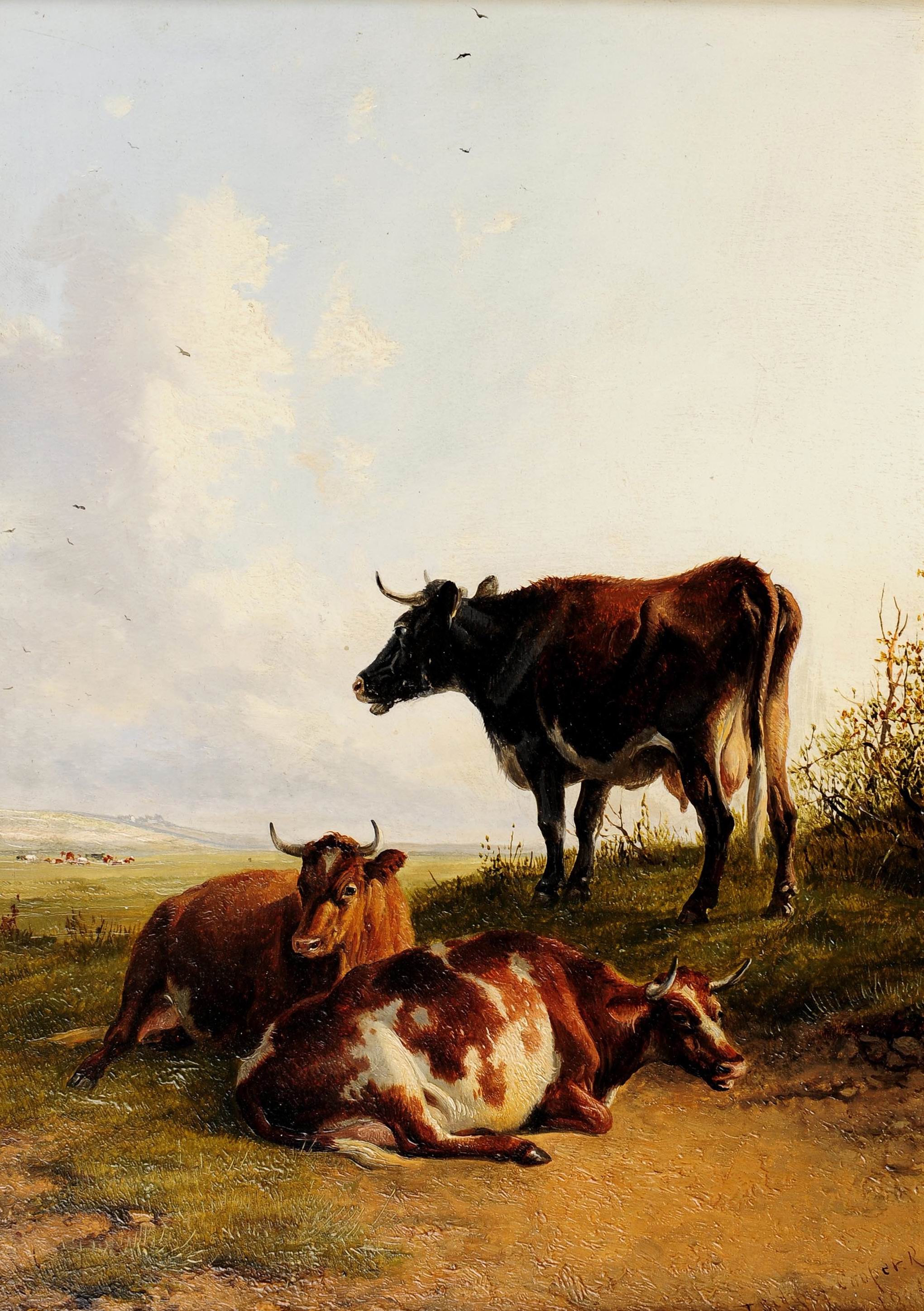 ����� ������ �����