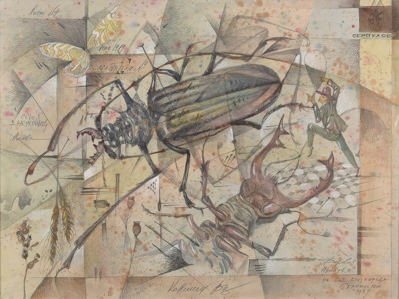 �������� �������