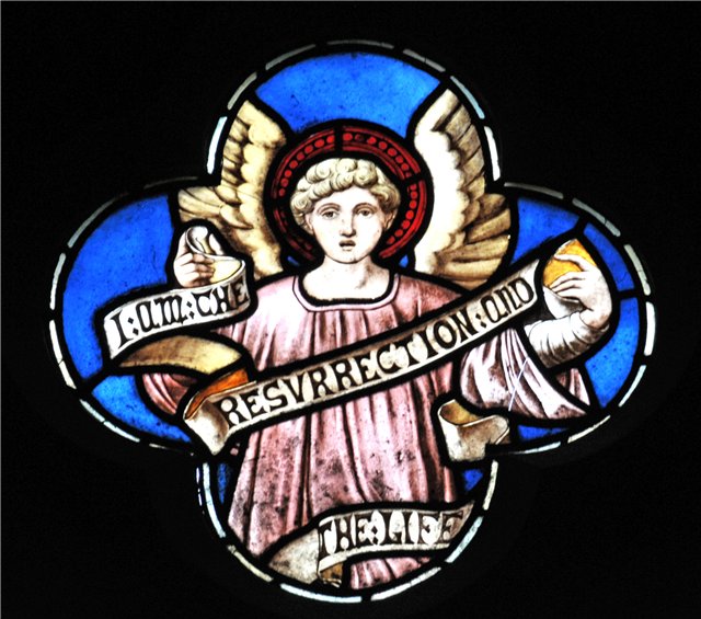 ������ ������