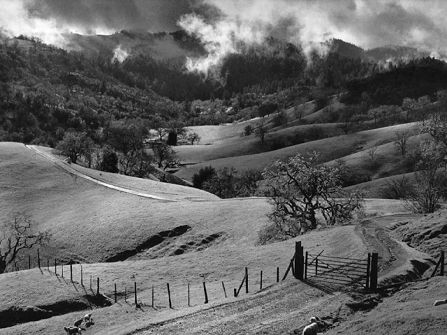 ����� �����