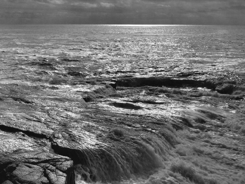 ����� �����