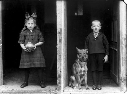 ������ ������