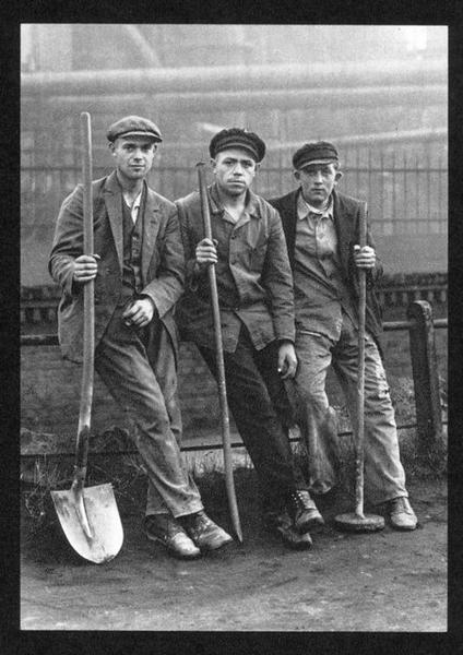 ������ ������