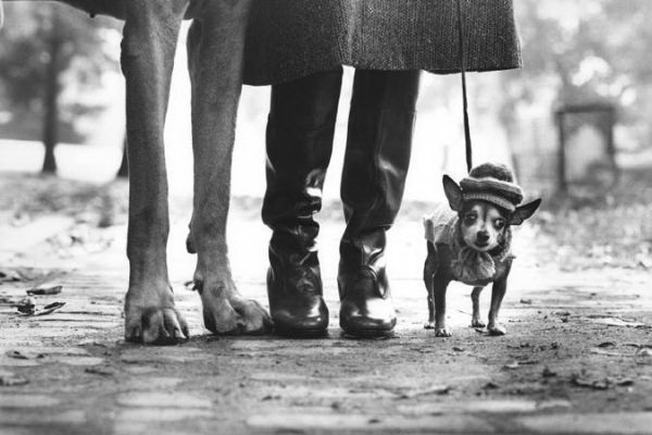 ������� ������