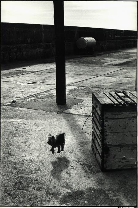 ������� ������