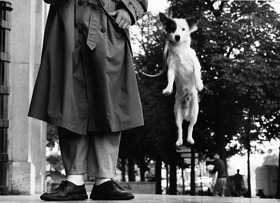 ������� ������