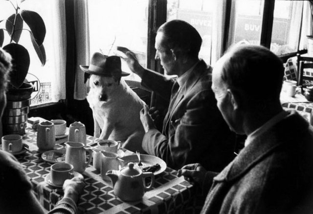 ������� ������