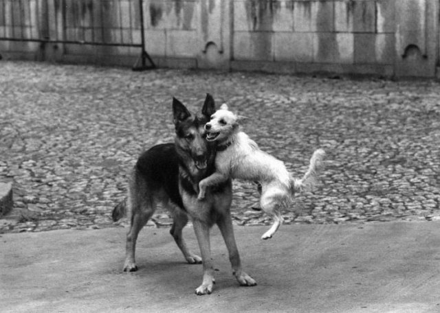 ������� ������