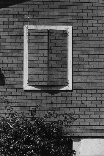 ������� ������