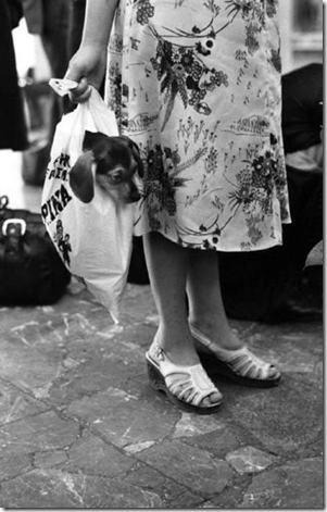 ������� ������