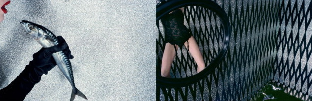 �� ������