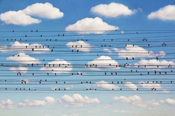 ������ ��� - ���������� �� ������� �����