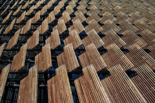 ������ ���