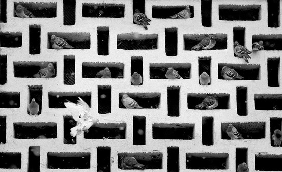 ������ ���