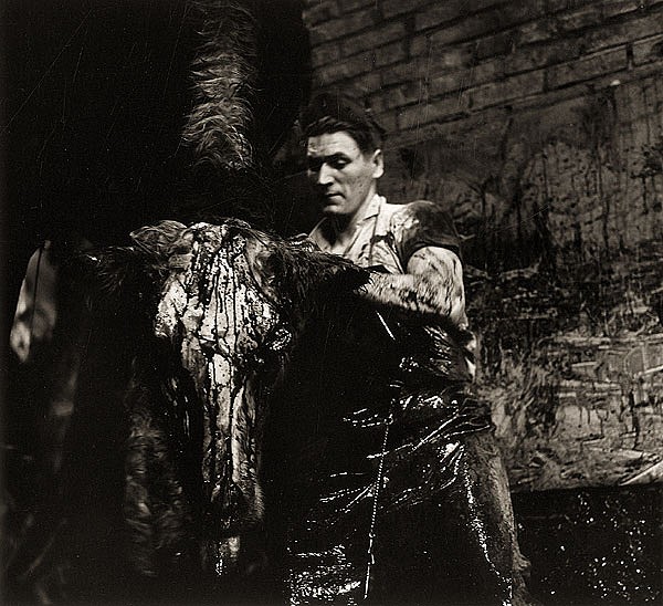 ������ �������