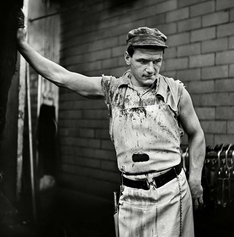 ������ �������