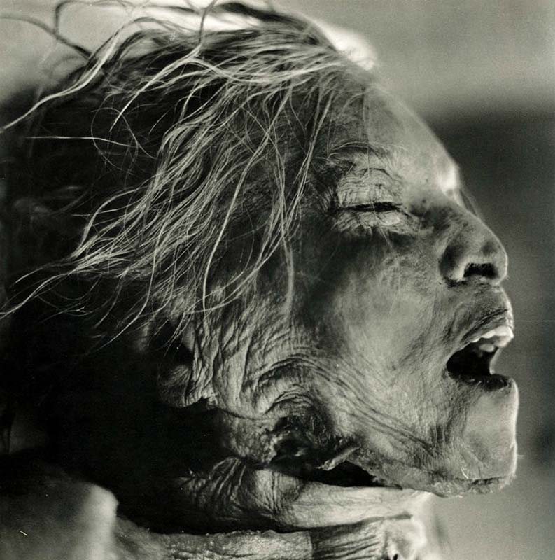 ������ �������