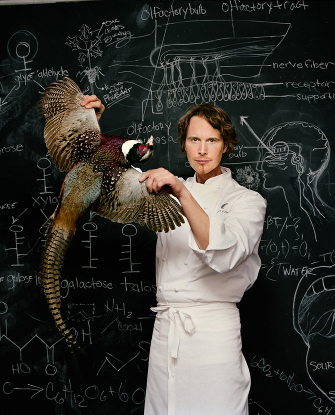 ������ ������