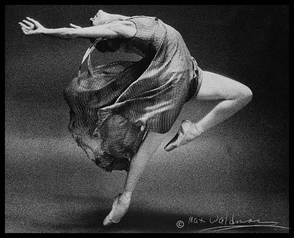 ���� �������