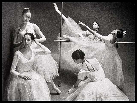 ���� �������