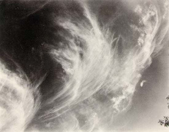 ������ ����