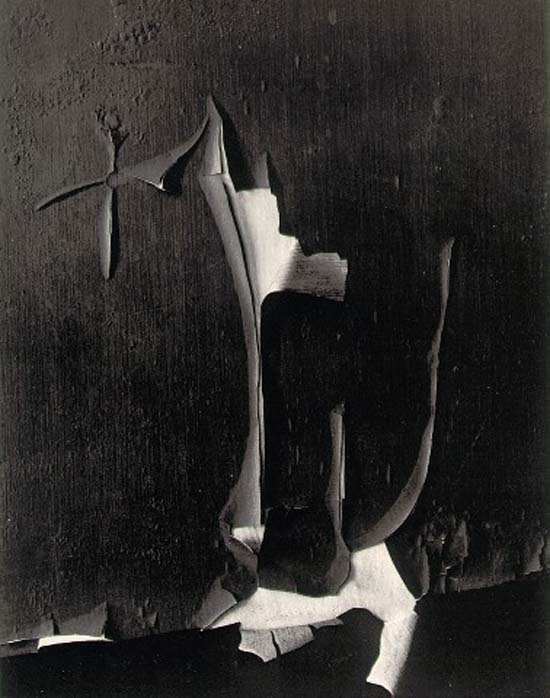 ������ ����