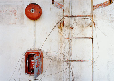 ������ ������